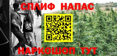 сатива Аргун
