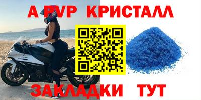 сатива Аргун